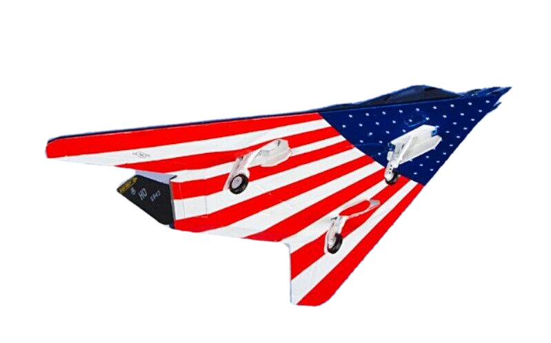 Hogan Wings 6498 1:200 F-117A 88-0843 8th FS "Black Sheep" US Flag Scheme