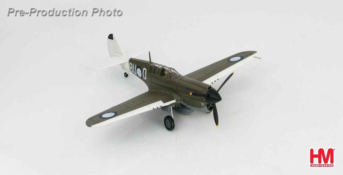 Hobby Master HA5505 1:72 P - 40N "Angry Bee"