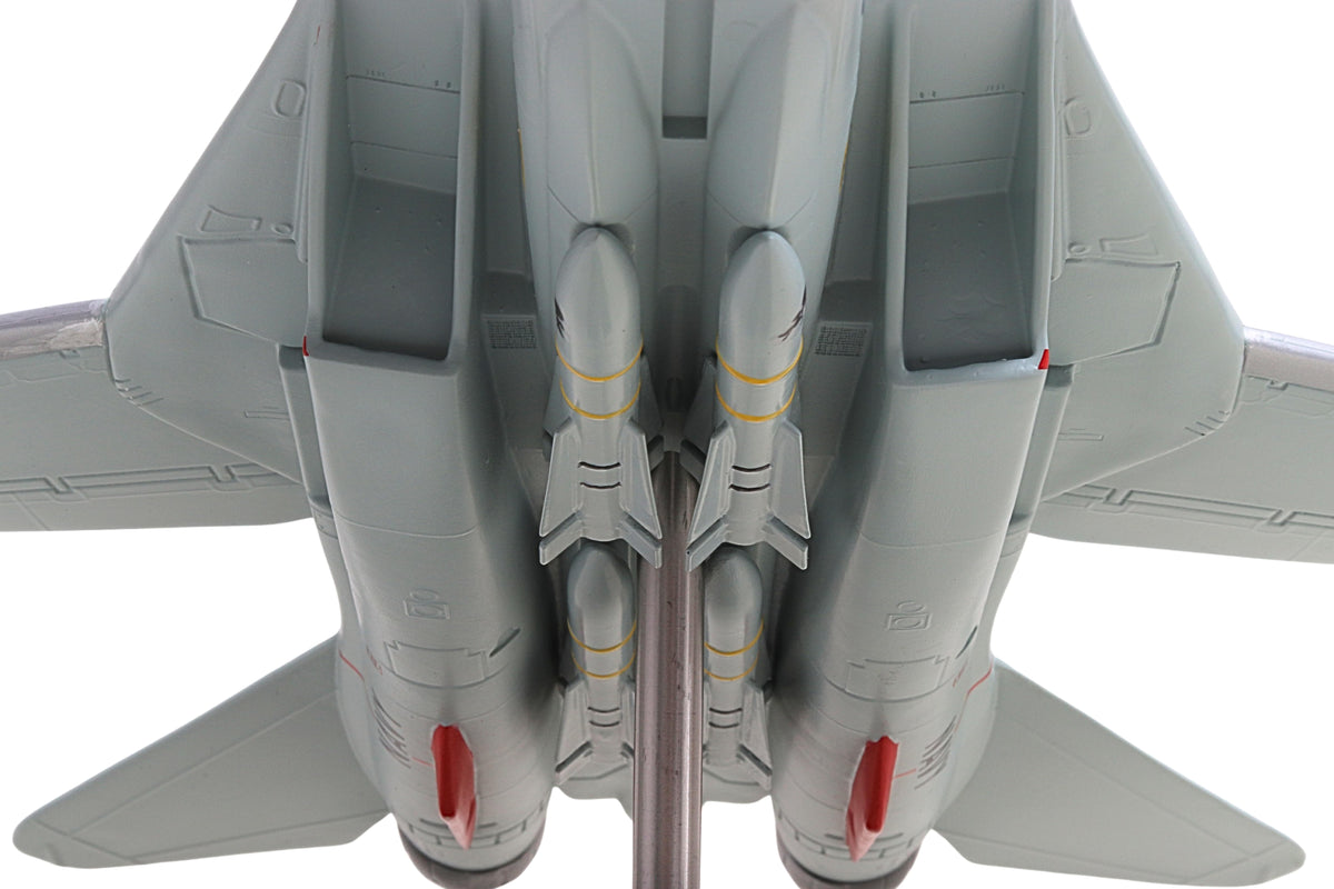 Executive Series Models 1:48 U.S. Navy F-14D Super Tomcat VF-31 Tomcatters resin model