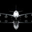 SQ Wings L2186C