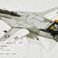 Century Wings 001619 1:72 F - 14A Tomcat US NAVY VF - 84 JOLLY ROGERS AJ200 1978 USS NIMITZ (Flap & Slat Down)