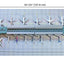 Gemini Jets GJARPTC 1:400 Deluxe Airport Terminal set Double Rotunda