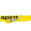 Gemini Jets GJNKS2201 1:400 Spirit Airlines Airbus A320neo N971NK