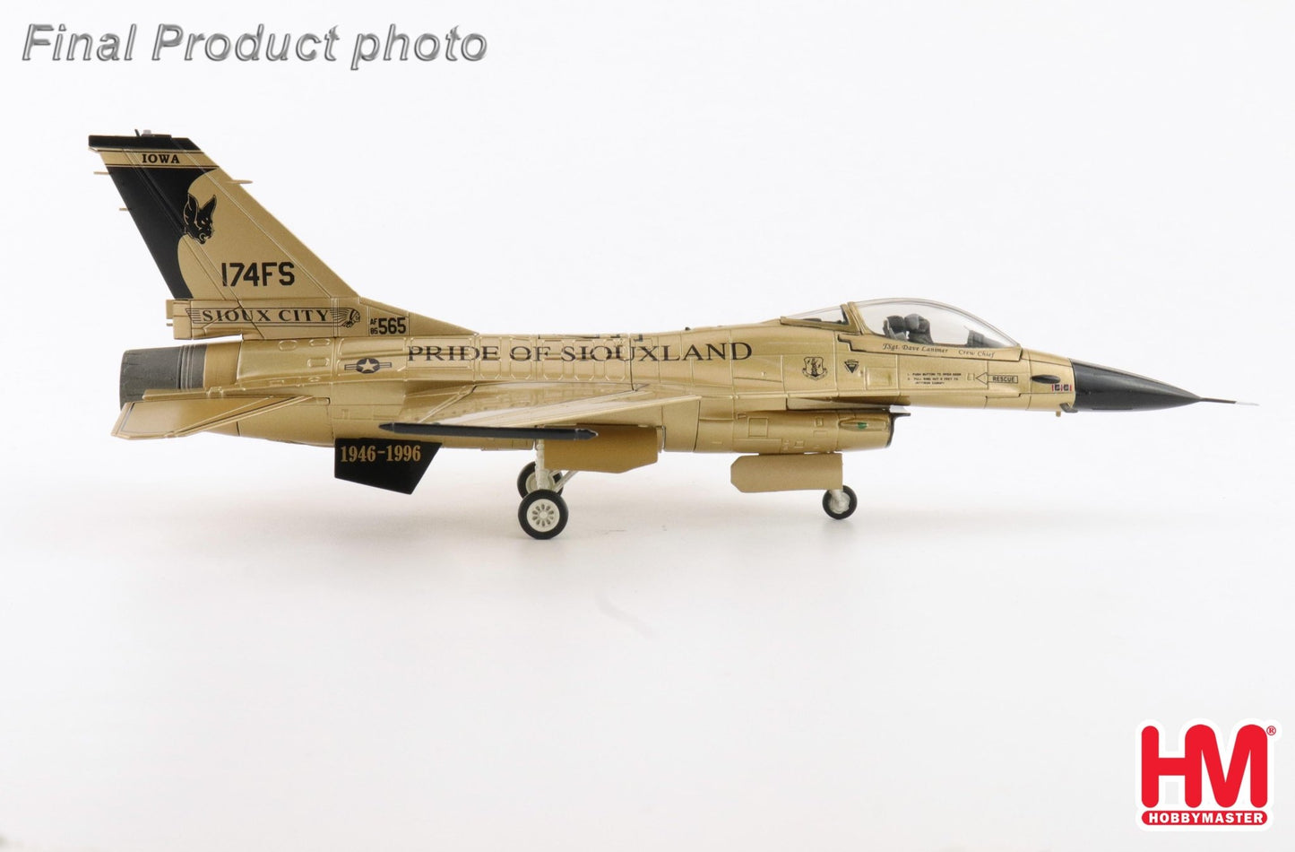 Hobby Master HA38069 1:72 F - 16A "Golden Bat Viper" 85 - 1565, 185 ARW, Iowa ANG, 2022