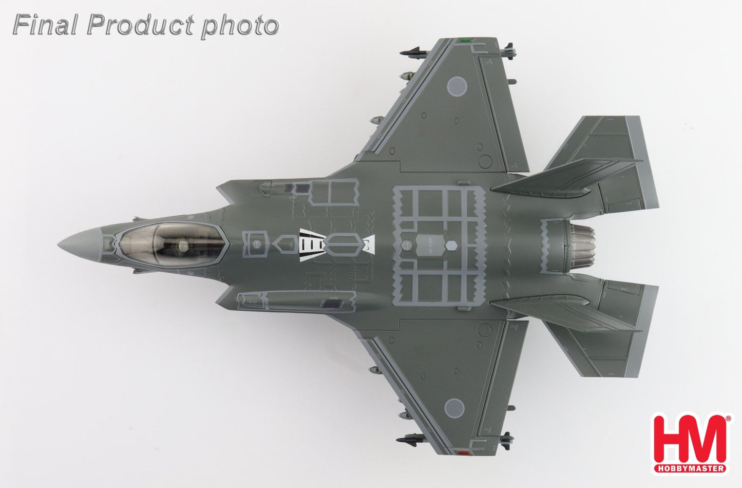 Hobby Master HA4443 1:72 F - 35A Lightning II 69 - 8702, 302nd FS, JASDF (w/painted RAM panels)