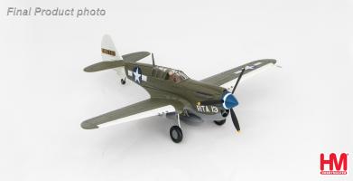 Hobby Master HA5504 Curtiss P - 40N "Rita/Orchid 13" 2105202, Captain Robert DeHaven, 7th FS, 49th FG, August 1943