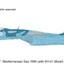 Hobby Master HA6050 1:72 Su - 27K Sea Flanker Bort 109, aircraft carrier "Admiral Kuznetsov", Mediterranean Sea 1996 (with KH - 41 Moskit missile)