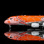 HX Models A582303 1:400 ANA A380 "Flying Honu-Lani（Orange Turtle）JA383A