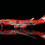 HX Models B616502 1:400 Qantas B747 - 400 "Wunala Dreaming" VH - OJB