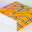 Pre-Order NG Models 8065 1:200 Ryanair 737-800 EI-DHF old colors, withtout winglets