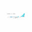 Pre-Order NG Models 94009 1:200 Greater Bay Airlines 737 MAX 9 B-KWA the first 737 MAX 9 for Greater China
