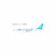 Pre-Order NG Models 94010 1:200 Greater Bay Airlines 737 MAX 9 B-KWB