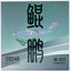 Pre-Order NG Models LITE PLA049 1:400 PLA Air Force Y-20A 20240