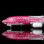 Pre-Order SQ Wings L2349 1:200 Japan Transocean Air B737-800 JA06RK Sakura Jimbei