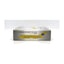 Pre-Order V1:400 400015 1:400 Hughes Airwest DC-9-14 N948L