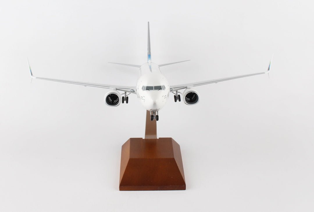 SkyMarks Elite SKR8259 1:100 Alaska 737 - 900 N494AS