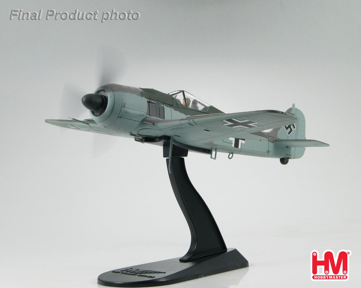 Hobby Master HA7407 1:48 FW - 190 Doppelreiter