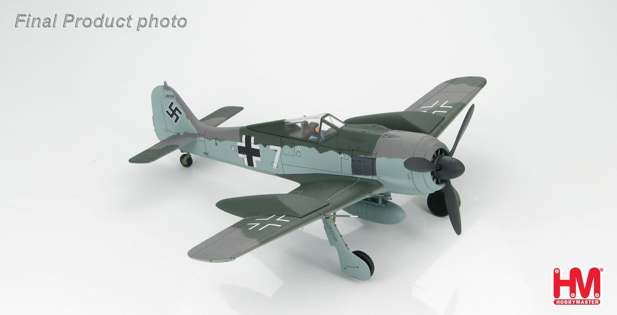 Hobby Master HA7407 1:48 FW - 190 Doppelreiter