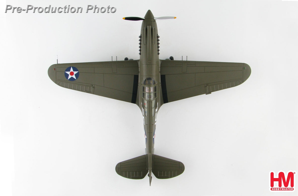 Hobby Master HA9202 1:48 P - 40B